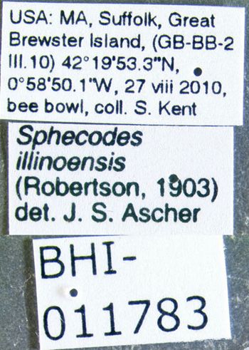 Media type: image;   Entomology 610763 Aspect: labels